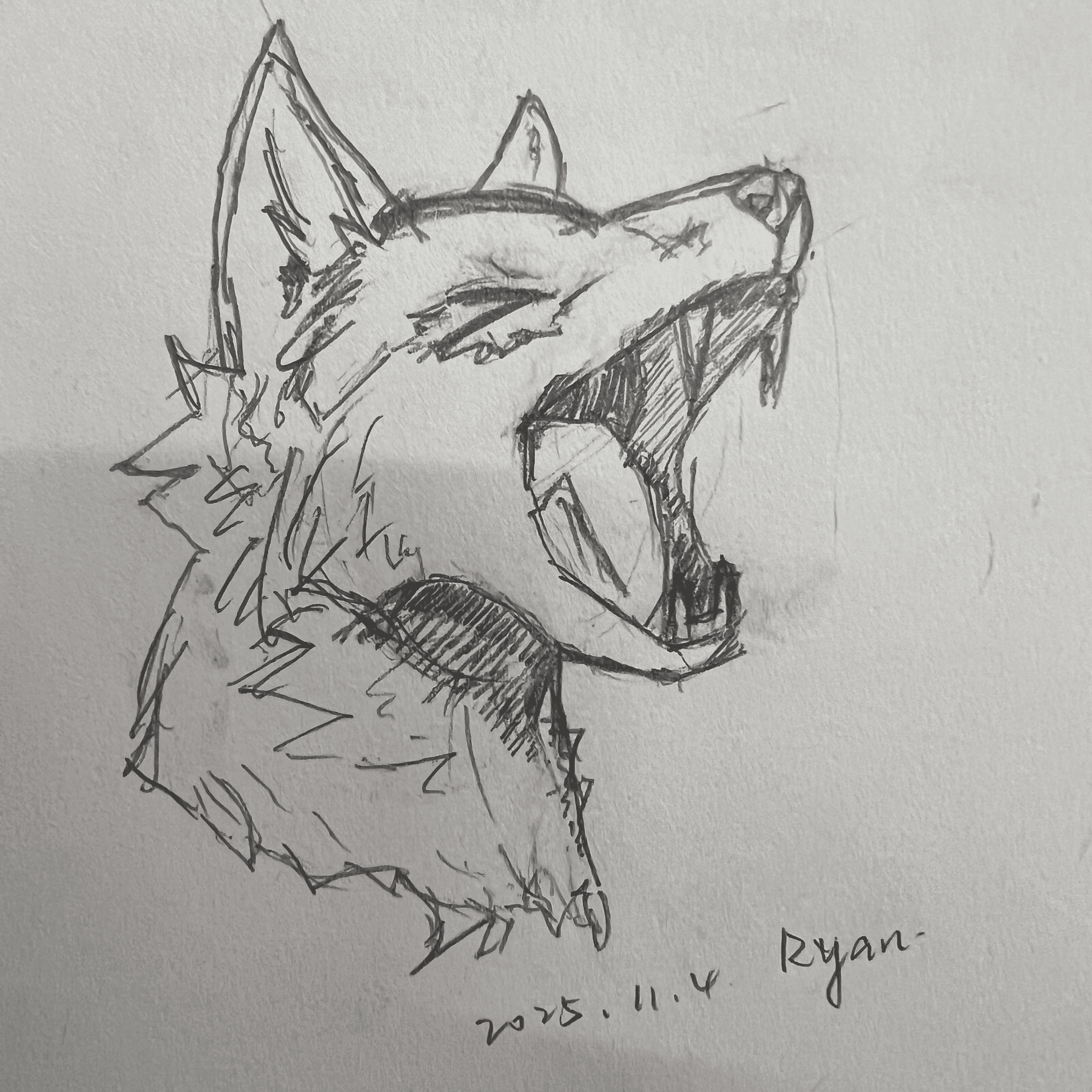 临摹习作（嗷呜呜，好累）